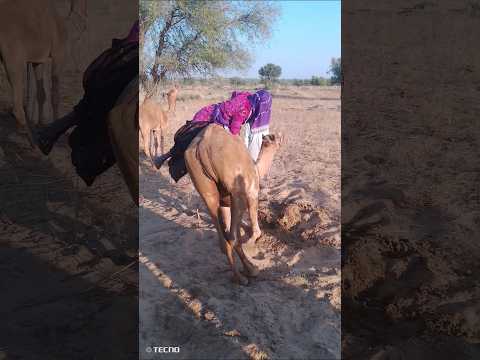 ارفعي هذه البدلة يا فتاة انظري كم هي ضائعة إنها نائمة إنها تطفو