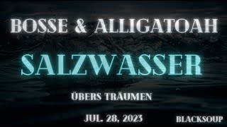 Bosse &amp; Alligatoah – Salzwasser (Lyrics)