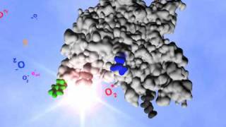 Arecor: Amino acid ionisation part 1