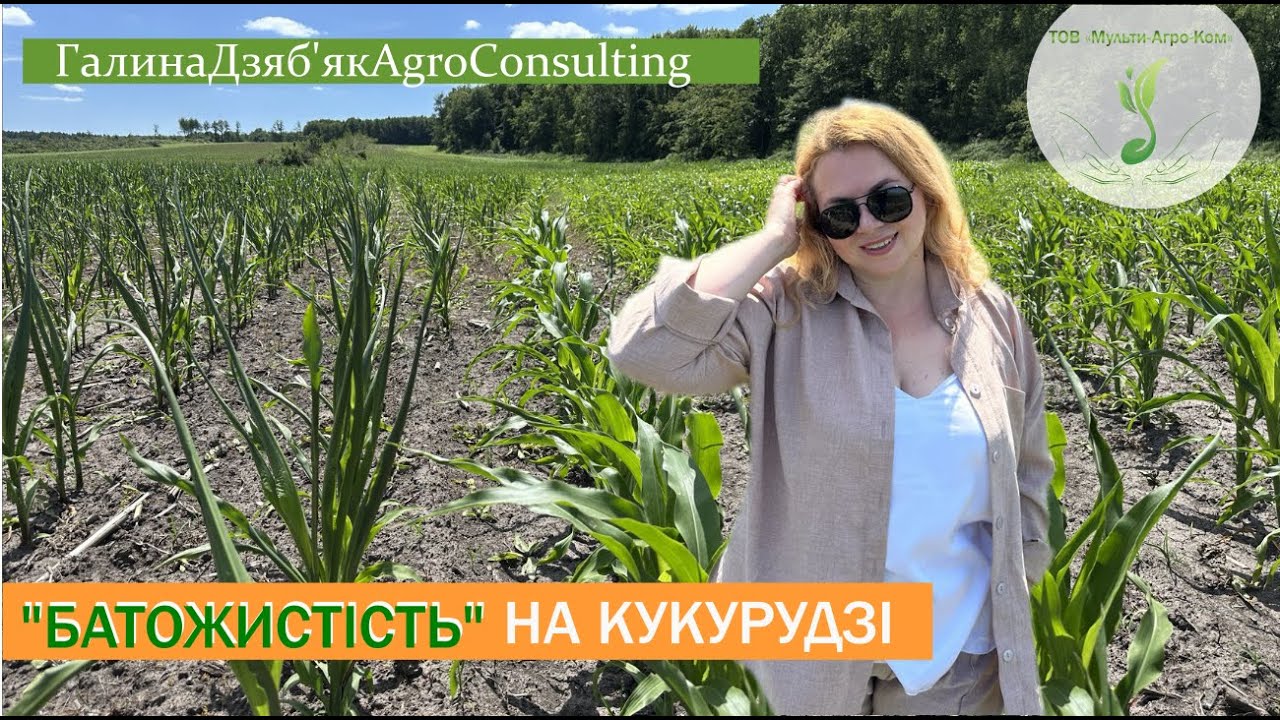 Як ми додатково наносимо стрес рослинам