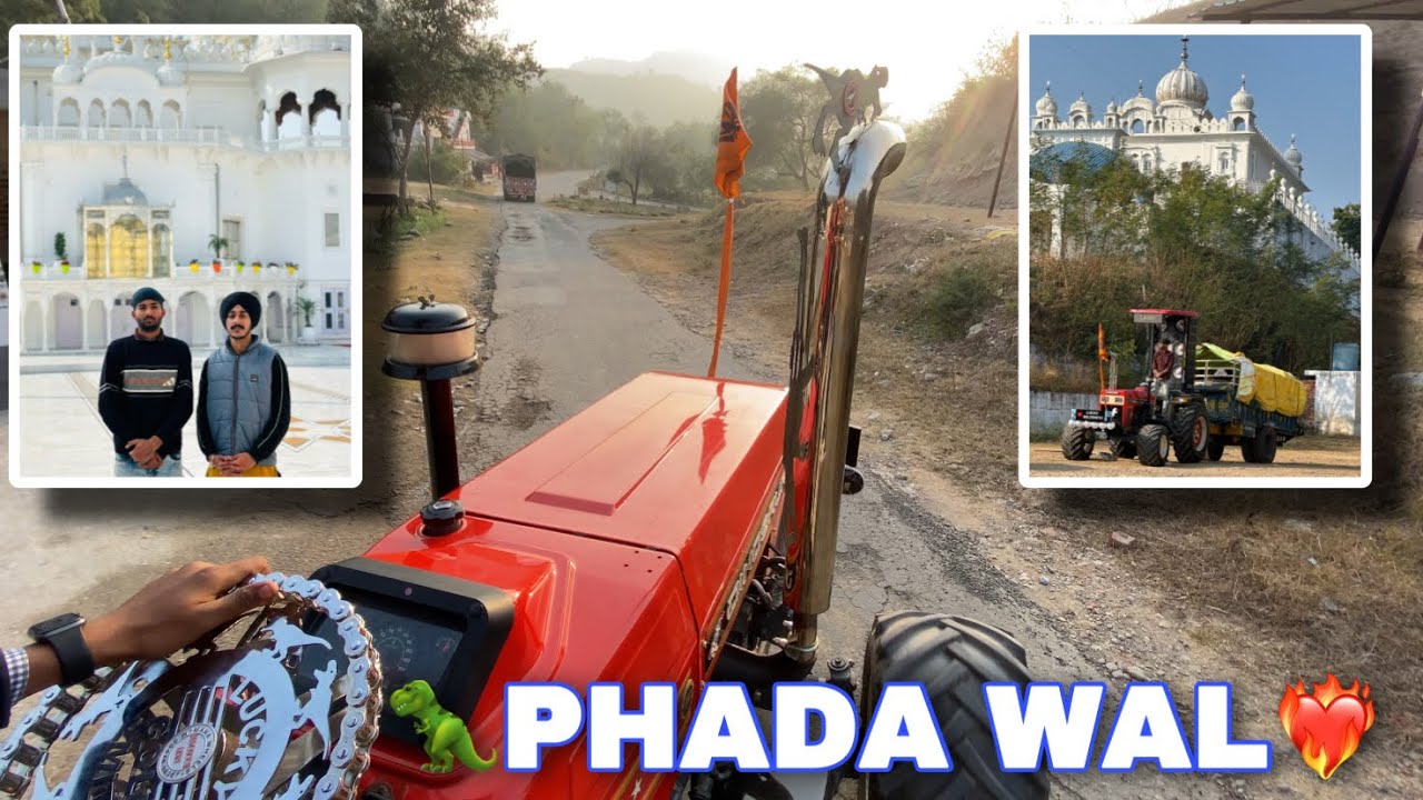 Dinosaur Odd Da Janda || Phada wal 🦖❤️‍🔥