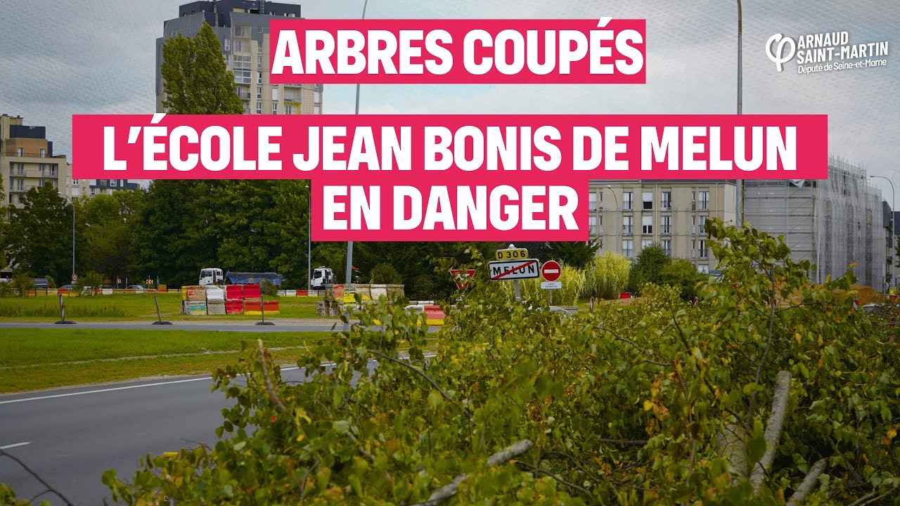 Massacre à la tronçonneuse en lisière d'école à Melun : on n'est pas zen !