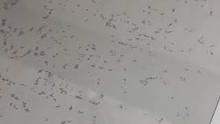 Рифленая (матовая) защитная пленка на стол DecorProtect