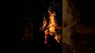 avee player love aveeplayerlegend bassboosted unfrezzmyaccount duet 15august karaoke funny