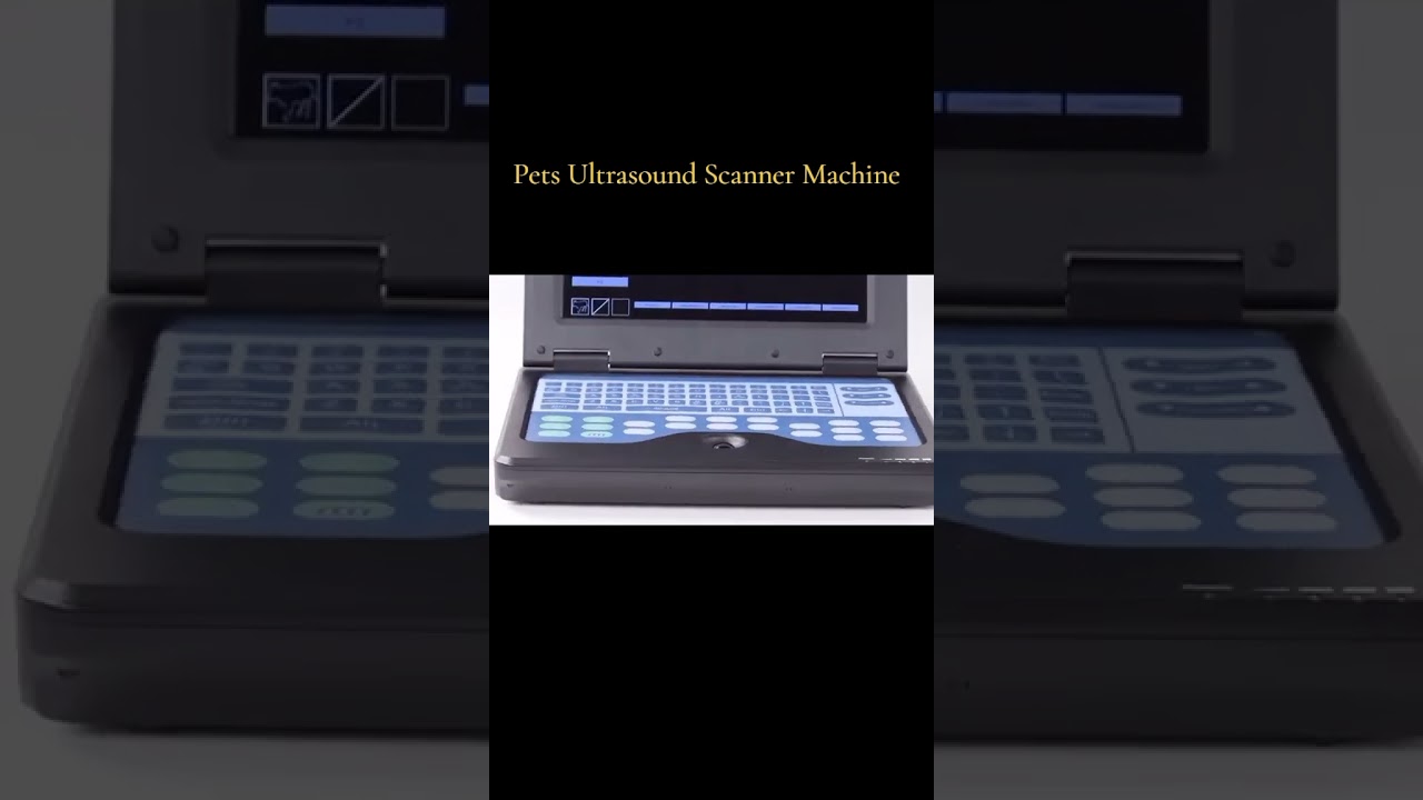 CONTEC CMS600P2 Vet Veterinary Use Portable Laptop Ultrasound Scanner Machine