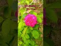 ,,Vennelyna😍😍😍💐💐💐❤️❤️❤️😊