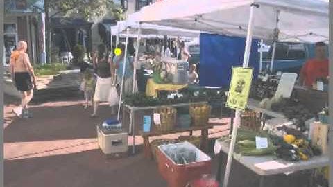 Gaze-contingent Gabor orientation discrimination task with auditory N-back