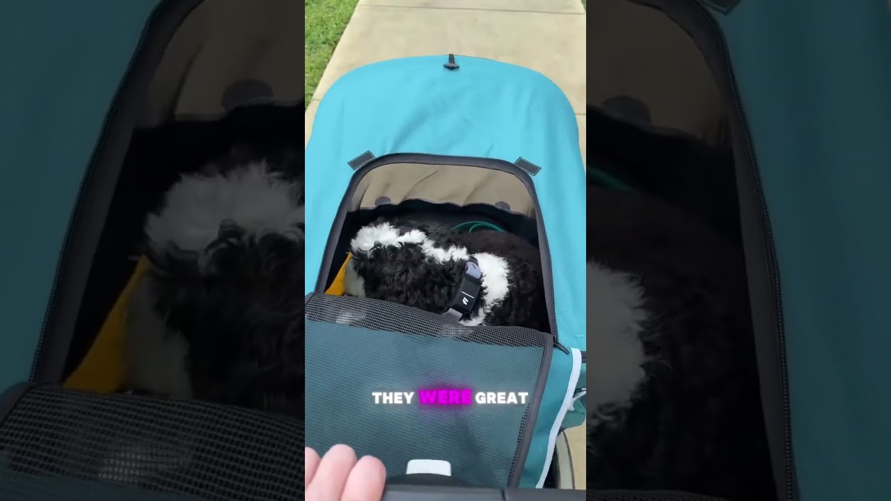 Took the new PetBobi dog stroller for a spin and we are obsessed! Assembling it was super simple,
