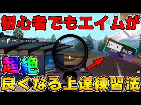 荒野行動 これでエイム力安定 した後はいつも安定してます Youtube