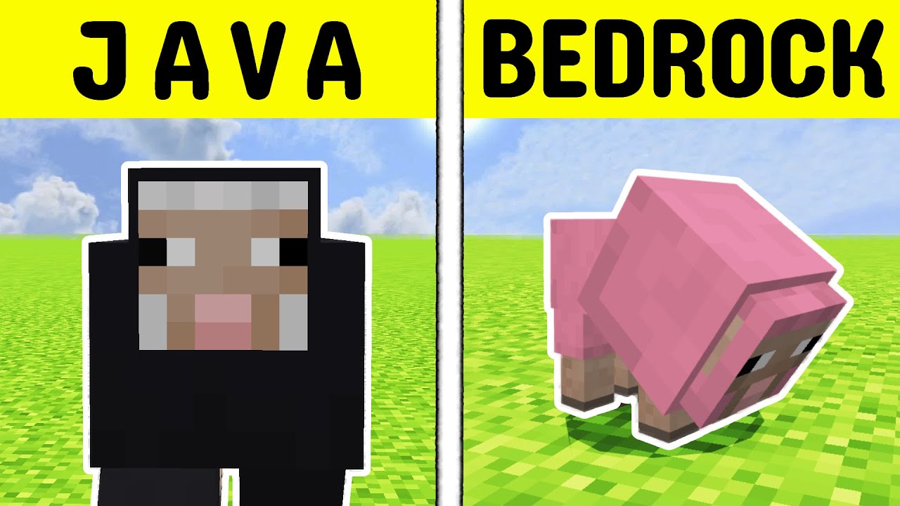 40 Minecraft Java vs Bedrock Differences! - YouTube