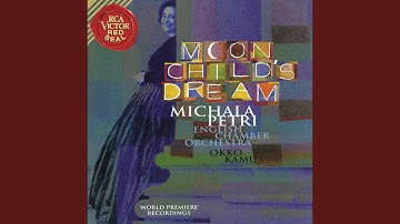 Concerto for Recorder, String Orchestra, Celeste and Vibraphone, Op. 122: I. Allegro innocente