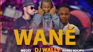 DJ Wally - Wané (Audio) ft. Medzi, Baaba Nociph