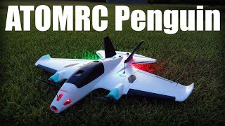 ATOMRC Penguin