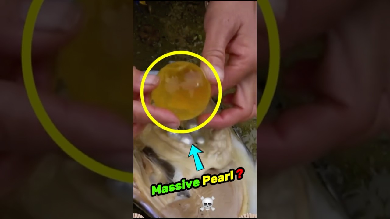 Best Mineral Finds ⛏️ 