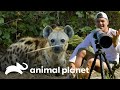 Três animais simbólicos de países diferentes | Wild Frank | Animal Planet Brasil