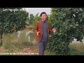 TÌNH ĐẤT | Sơn Nguyễn | Official | Tuấn Phương