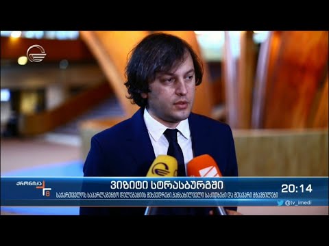 ვიზიტი სტრასბურგში