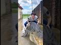 Thanh niên lên cơn ước biến thành cá sấu khổng lồ và cái kết #shortvideo #funny