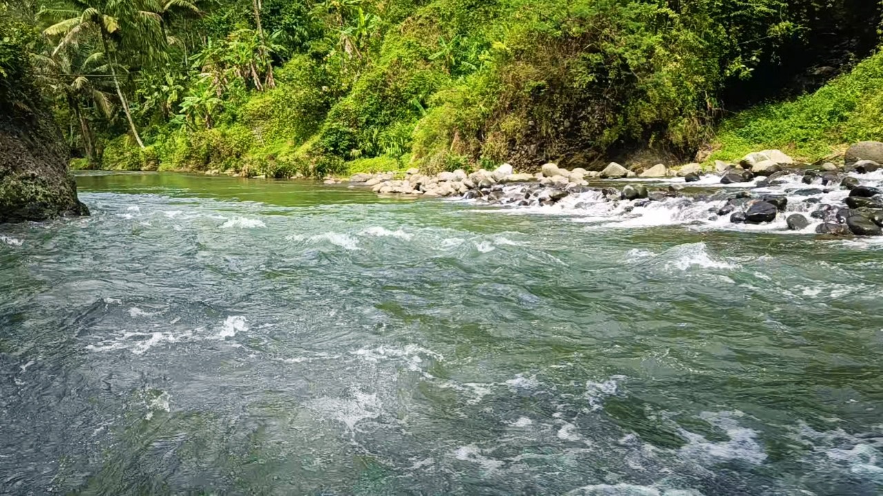 Mountain River Sounds for Deep Calm | Pure Highland Stream Ambience for Rest & Relaxation