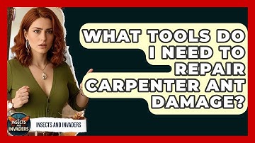 What Tools Do I Need To Repair Carpenter Ant Damage? - Insects and Invaders