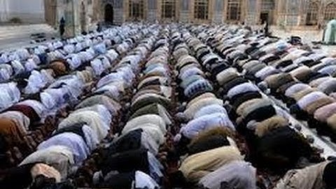 سورة البقرة مترجمة الشيخ مشارى العفاسى .جودة عالية