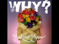 Why? - One Rose