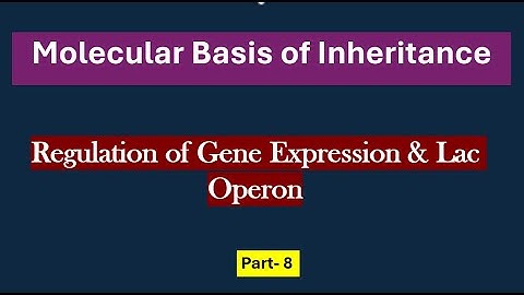 Class 12 CBSE Biology: Molecular Basis of Inheritance - Part 8