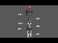 Dongnan electronics Introduction of MICROSWITCH WS8