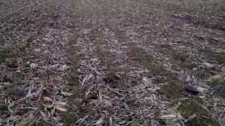 Cover crop seeding into Corn at V 3-6. A trial . . .