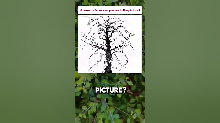 How many faces do you see