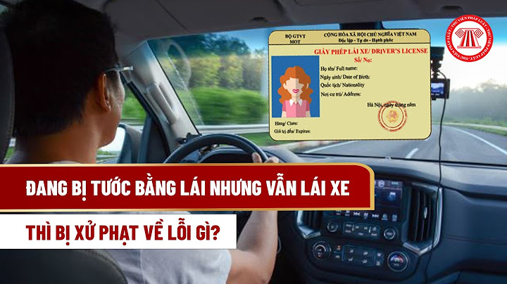 Lỗi không bằng lái xe ô tô phạt bao nhiêu năm 2024