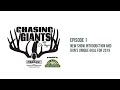 Chasing giants with don higgins  episode 1