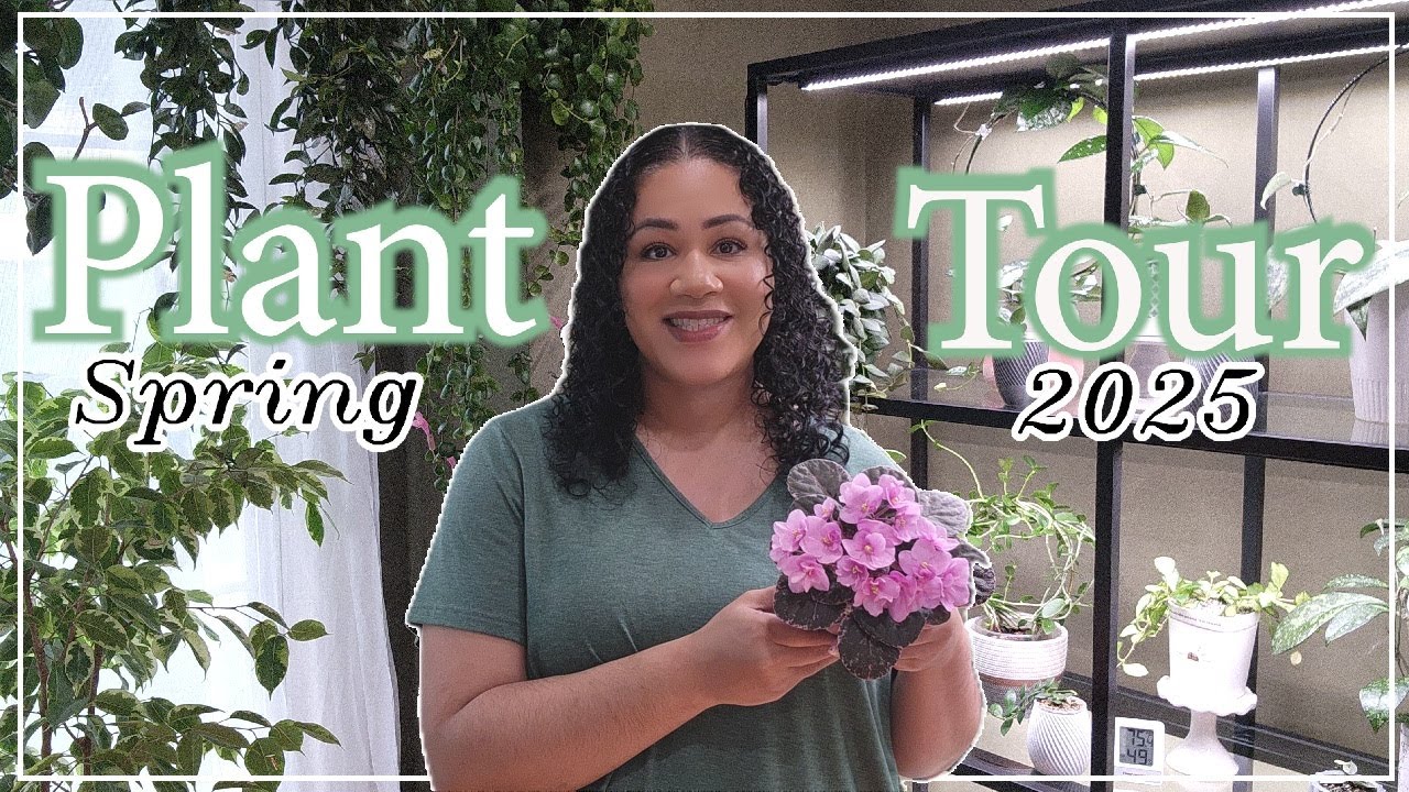 🌿Houseplant Tour 🌿Spring 2025