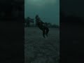 fliper short video #like