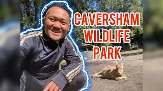 Caversham Wildlife Park – A True Australian Wildlife Experience