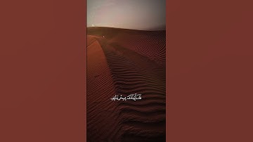 ﴿ولقد اريناه آياتنا كلها فكذب وابىٰ﴾/ قران كريم 🌿 بصوت جميل ❤️