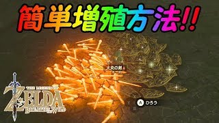 1 ゼルダの伝説 武器 盾の増殖方法を2種類紹介 増やした盾でトライフォース作ってみた ブレスオブザワイルド Botw Youtube