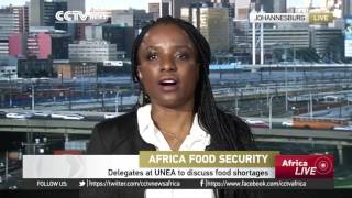 UNEA Summit Day 5 focuses on displacement, resolutions