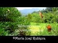 Remembranza/ Poema de María José Rubiera