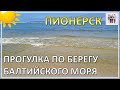 Прогулка по Пионерску 19.04.2024 года.