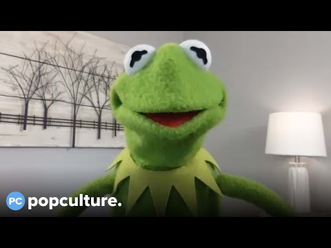 Kermit the Frog Interview: Muppets Star Urges World to 'Do a Better Job' at Reversing Climate Change