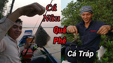 Câu Dính Cá Nâu Và Cá Tráp Trên Sông Thị Vải-Cảm Giác Rất Sướng l Fishing In Thi Vai River #39