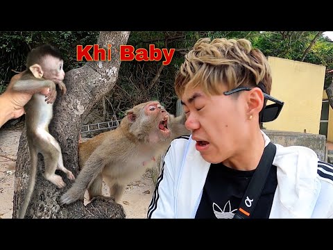 Video: 15 khách sạn và trại chó tuyệt vời cho chú chó của bạn khi bạn đi du lịch