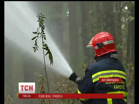 Житомиряни задихаються від диму через пожежі у приміських селах та лісах