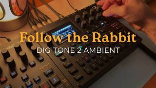 Follow the Rabbit | Ambient | Elektron Digitone 2