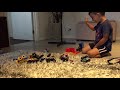 Leo’s Monster Jam Trucks