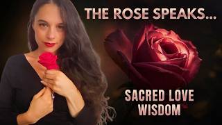 The Mystic Pink Rose Speaks- Receive Her Wisdom On Erotic Love