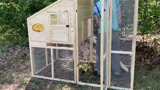 Precision Superior Construction Chicken Coop build