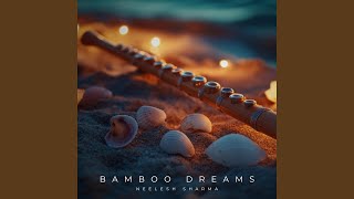 Seashell Echoes