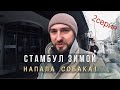 СТАМБУЛ В ЯНВАРЕ. Зима в Стамбуле Что посмотреть? Достопримечательности Стамбула. Турция. 2 СЕРИЯ